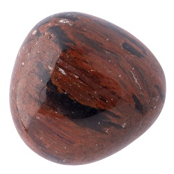 Petrified Wood