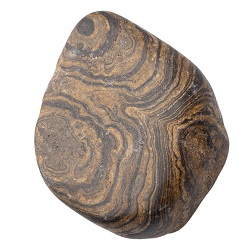 Stromatolite