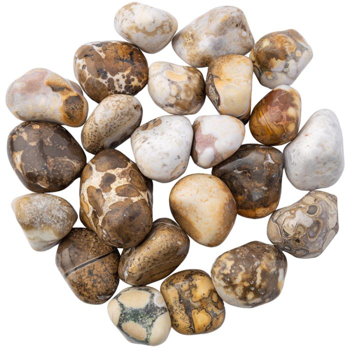 Spotted Agate Medium Tumblestone 20-30mm, India (250g) NETT