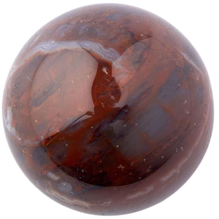 Petrified Wood Sphere 25-30mm, India (1pc) NETT