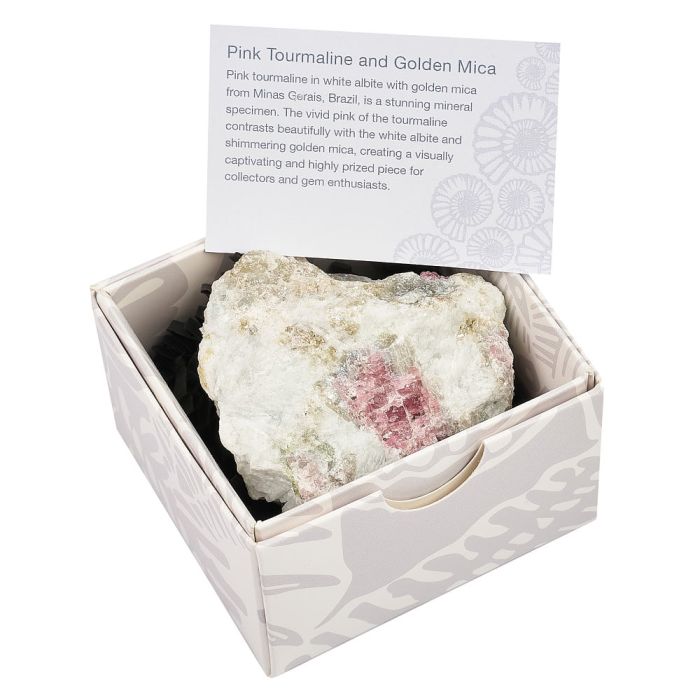 Pink Tourmaline with Golden Mica in Gift box with ID card (1pc)