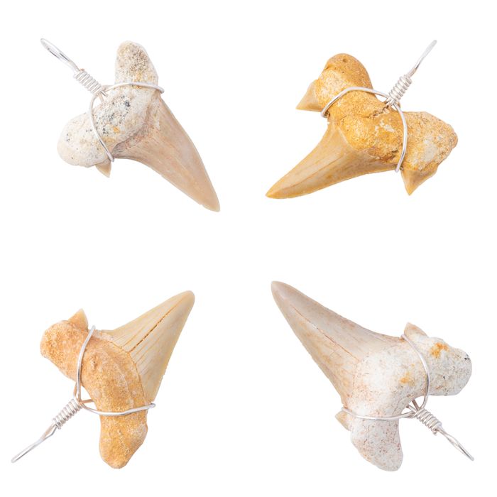 Wire wrapped shark tooth on sale