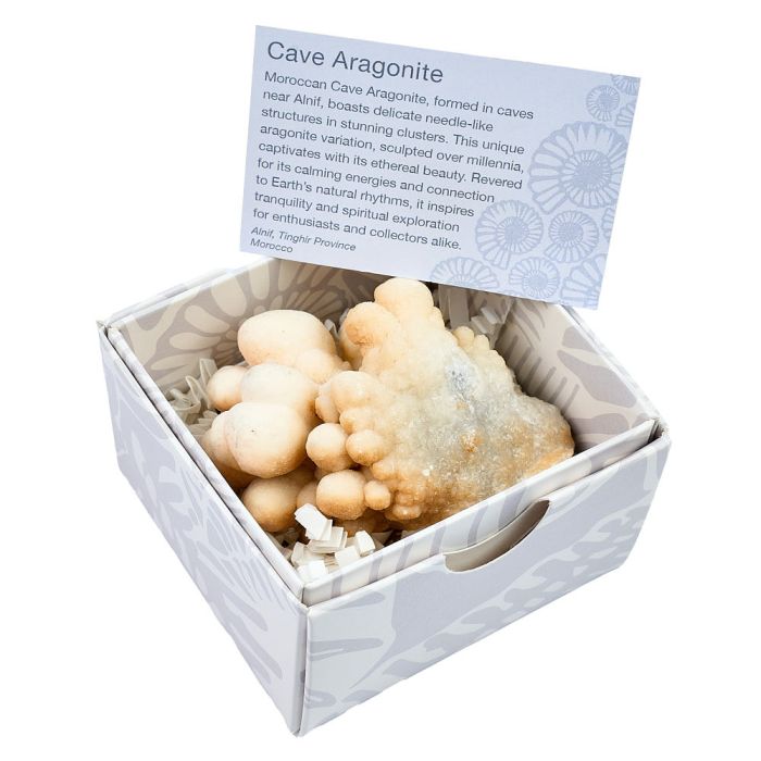 Cave Aragonite in Gift Box, Ighroud Mine, Medium, (1pc) NETT