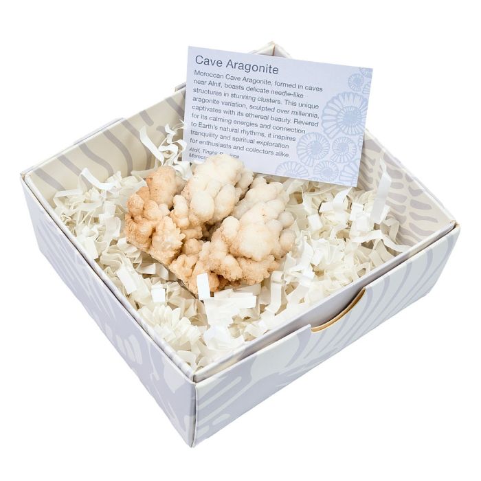 Cave Aragonite in Gift Box, Ighroud Mine, Medium, (1pc) NETT