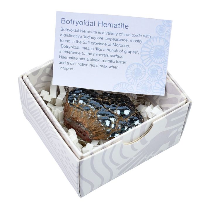 Polished Botryoidal Hematite in Gift Box, Small, (1pc) NETT