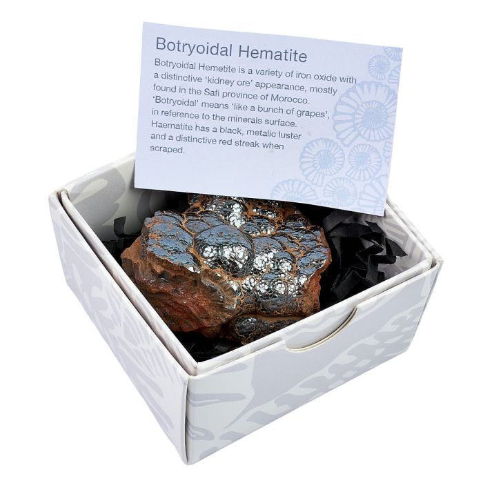 Polished Botryoidal Hematite in Gift Box, Medium (1pc) NETT