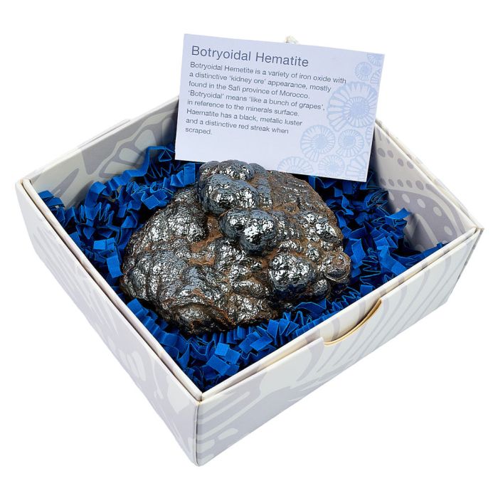 Polished Botryoidal Hematite in Gift Box, Large (1pc) NETT