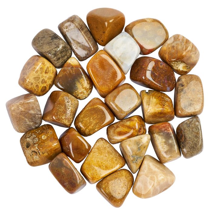 Agatised Coral Tumblestones 20-30mm (250g)