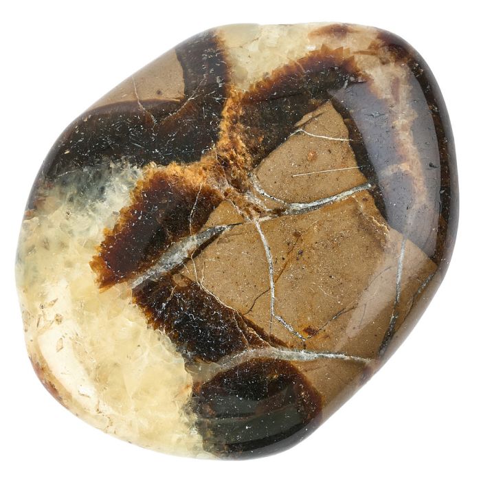 Septarian Smoothstone (A Grade) (1pc)