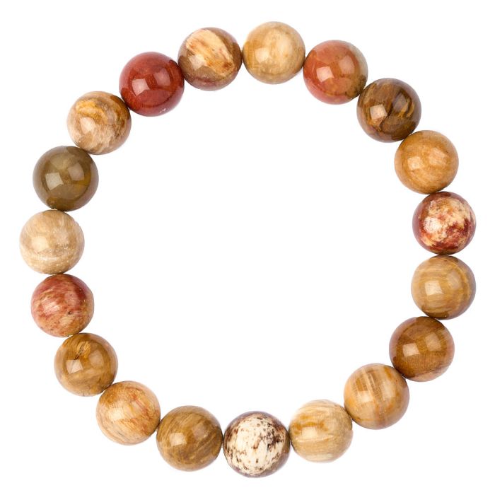 10mm Petrified Wood  Bead Bracelet (1pc)