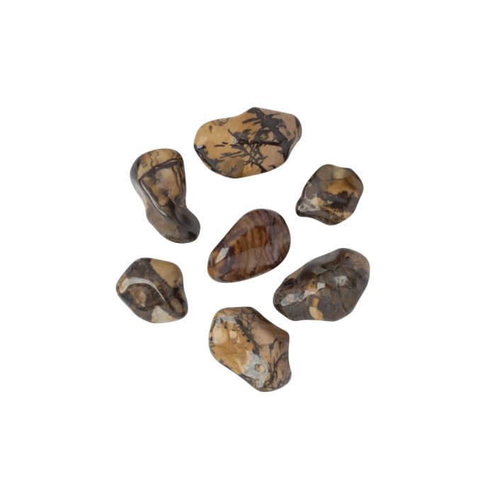 Autumn Leaf Jasper Tumblestone, South Africa (KGS) NFD