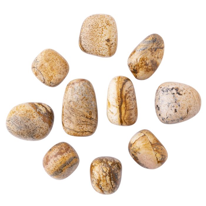 Picture Jasper Tumblestone Starter Pack Refill (10pc) NETT