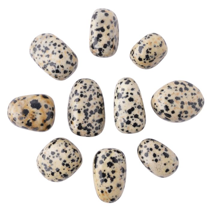 Dalmation Jasper Tumblestone Starter Pack Refill (10pc) NETT