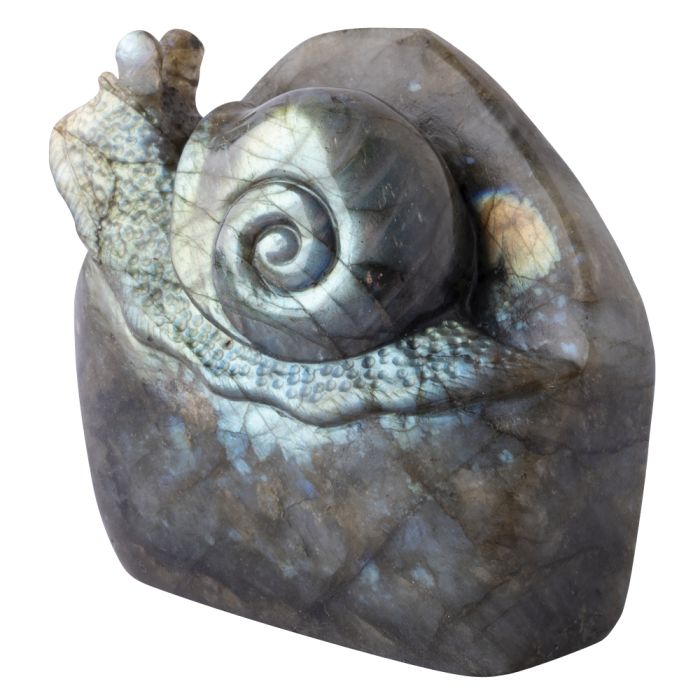 Labradorite Snail Carving with Base 2.5x1.5x2.75" (1pc) NETT