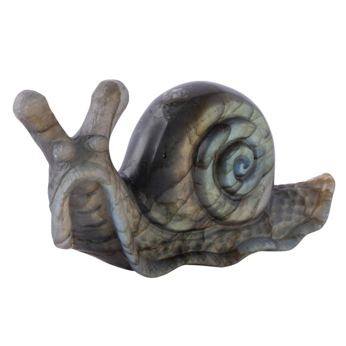 Labradorite Snail Carving 3.5x1.5x1.25" (1pc) SPECIAL