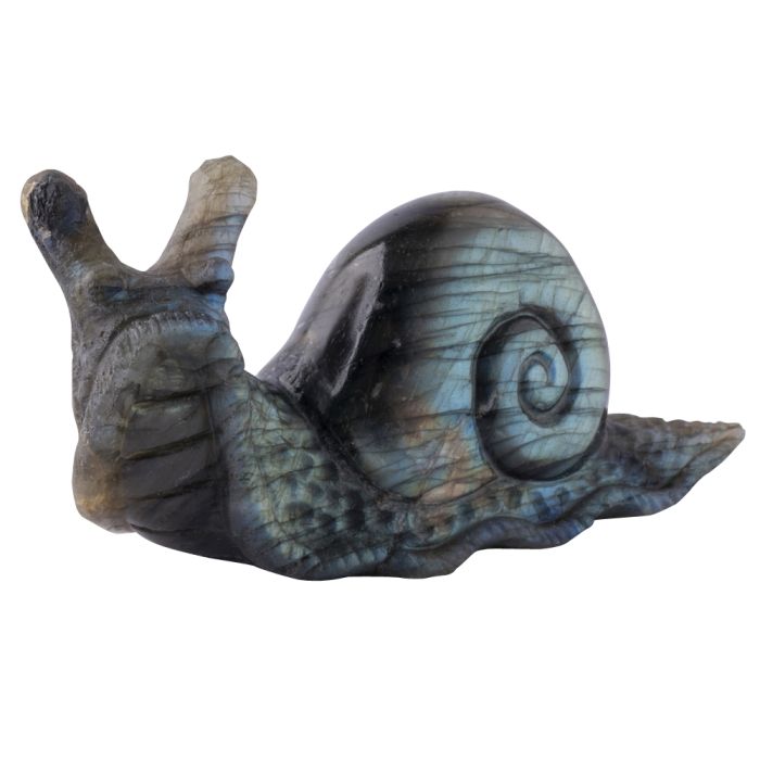Labradorite Snail Carving 3.25x1.5x1" (1pc) NETT