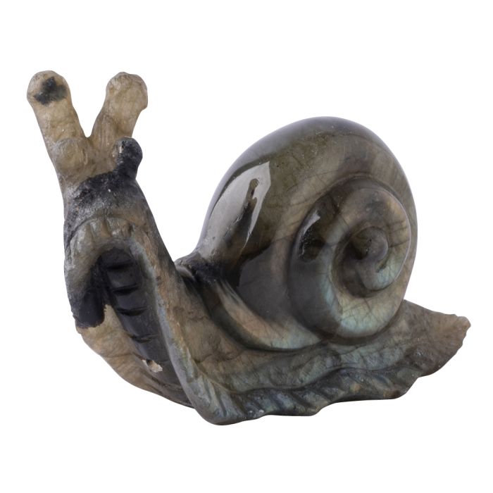 Labradorite Snail Carving 2.5" (1pc) SPECIAL