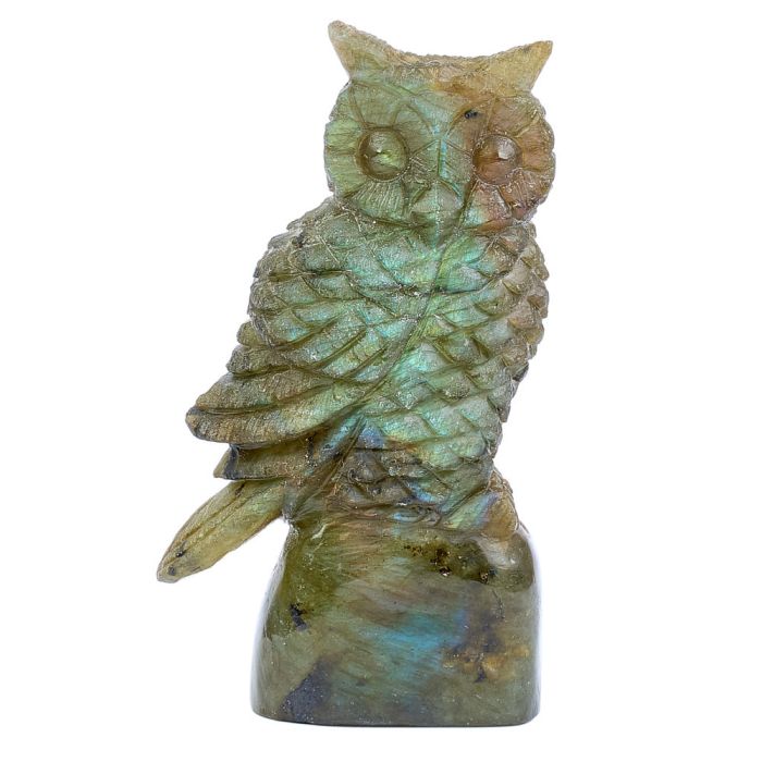 Labradorite Owl Carving with base 1.25x0.75x3.15 NETT