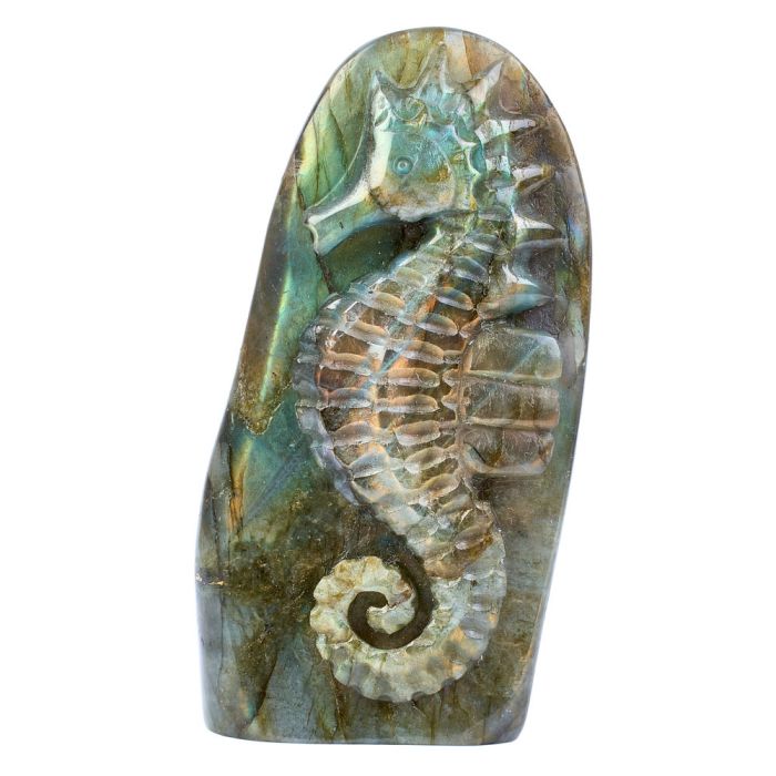 Labradorite Seahorse Carving in Relief 2.25x0.75x4.75" NETT