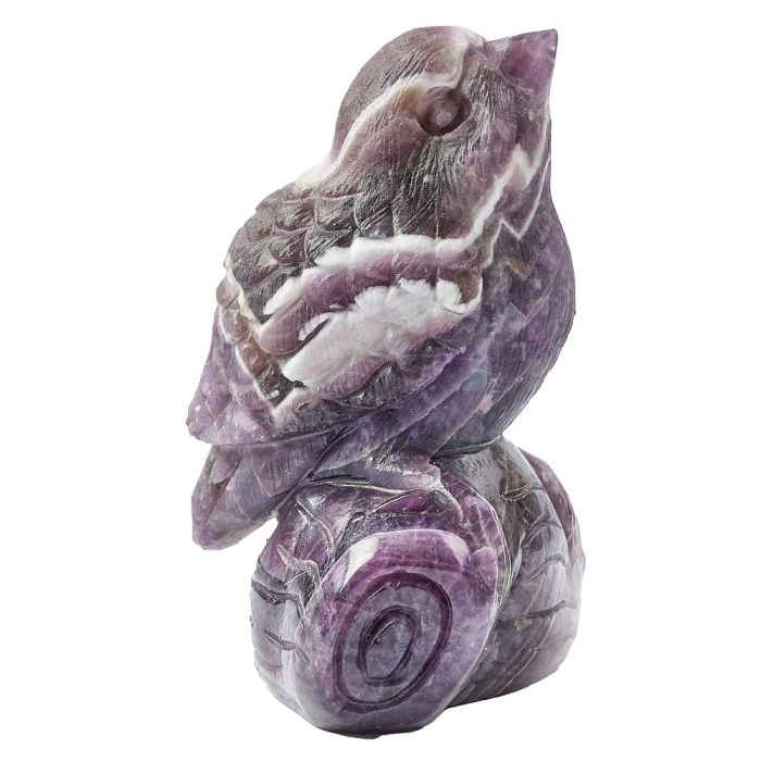 Dog Tooth Amethyst Bird Carving 3" (1pc) NFD