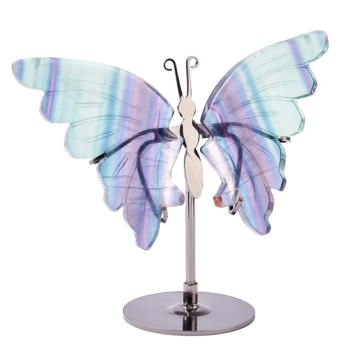 Fluorite Butterfly on Stand (1pc) NFD