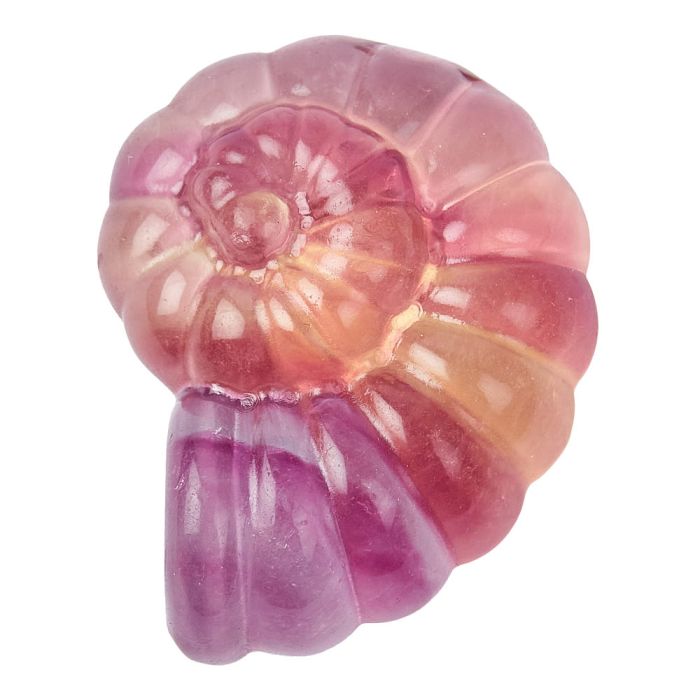 Fluorite Ammonite Carving 4cm (1pc) NFD