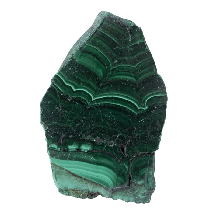 Malachite, DRC polished slice 5mm x approx 20-30mm (1pc) NETT