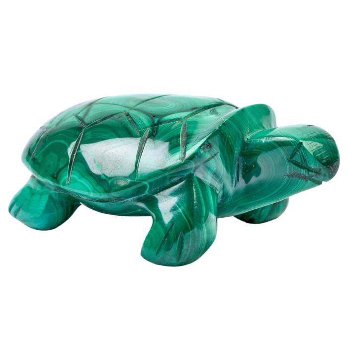 Malachite Tortoise Carving 2-3" (1pc) NETT