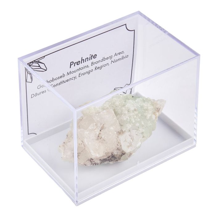 Prehnite in Plastic box with ID card (1pc)