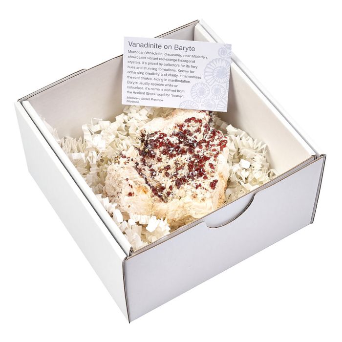 Extra Large Vanadinite on Baryte in box, Mibladen, Morrocco, (1pc)
