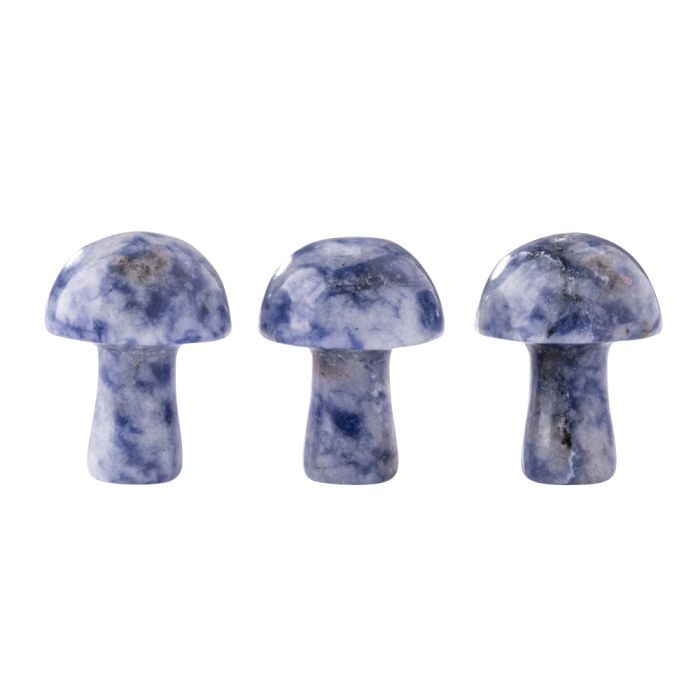 Gemstone Mushroom Sodalite (3pcs) NETT