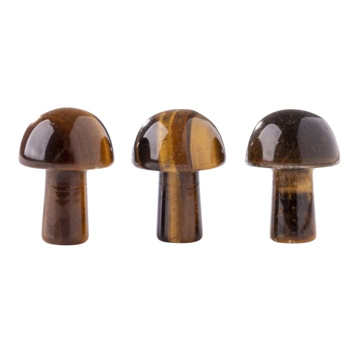 Gemstone Mushroom Tiger Eye (3pcs) NETT