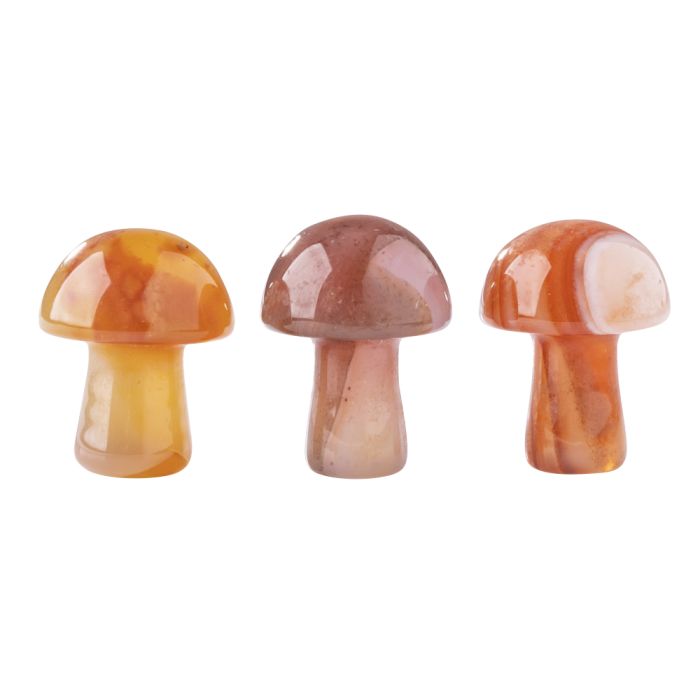 Gemstone Mushroom Carnelian (3pcs) NETT
