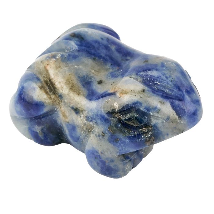 Sodalite Frog Carving (1pc)