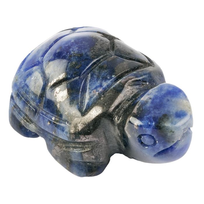 Sodalite Turtle Carving (1pc)