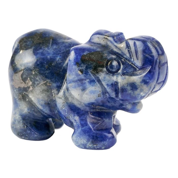 Sodalite Elephant Carving (1pc)
