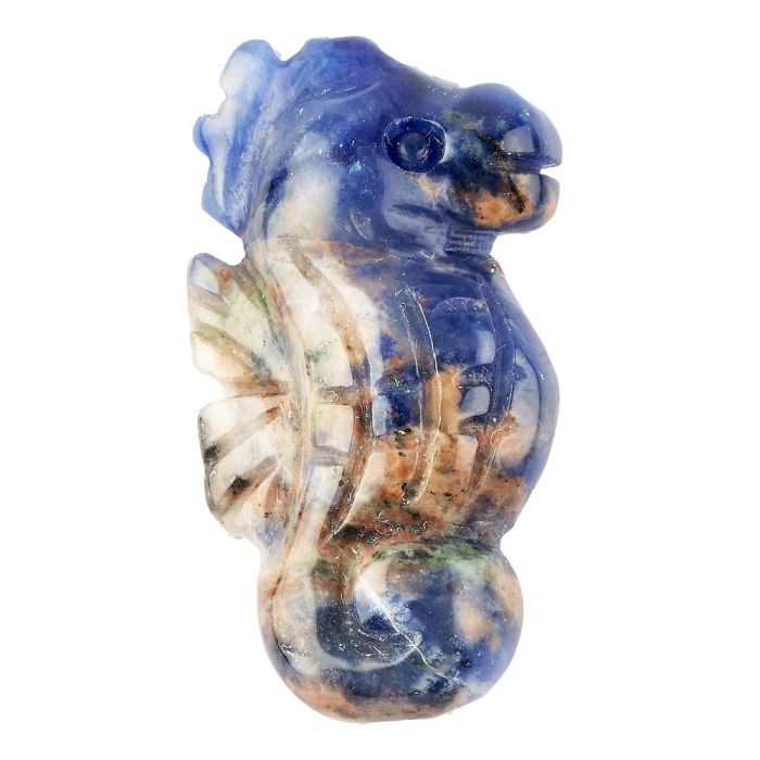 Sodalite Sea Horse Carving (1pc)