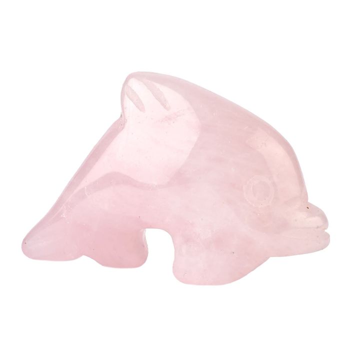 Rose Quartz Dolphin Carving (1pc)