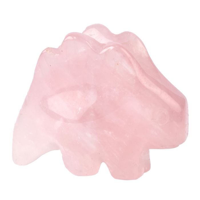 Rose Stegasaurus Carving (1pc)