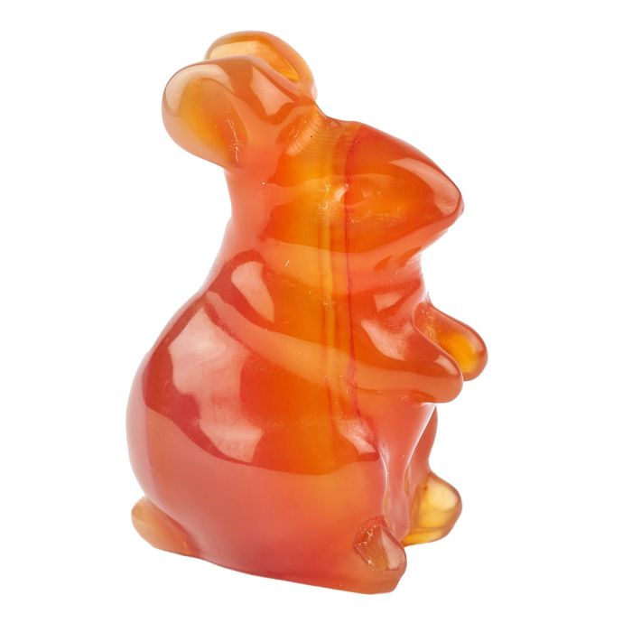 Carnelian Rabbit Carving (1pc)