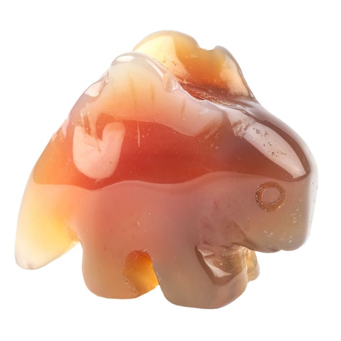 Carnelian Stegasaurus Carving (1pc)