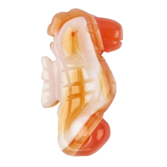 Carnelian Sea Horse Carving (1pc)