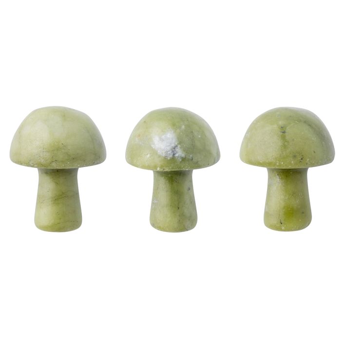 Serpentine Mushroom (3pc) NETT