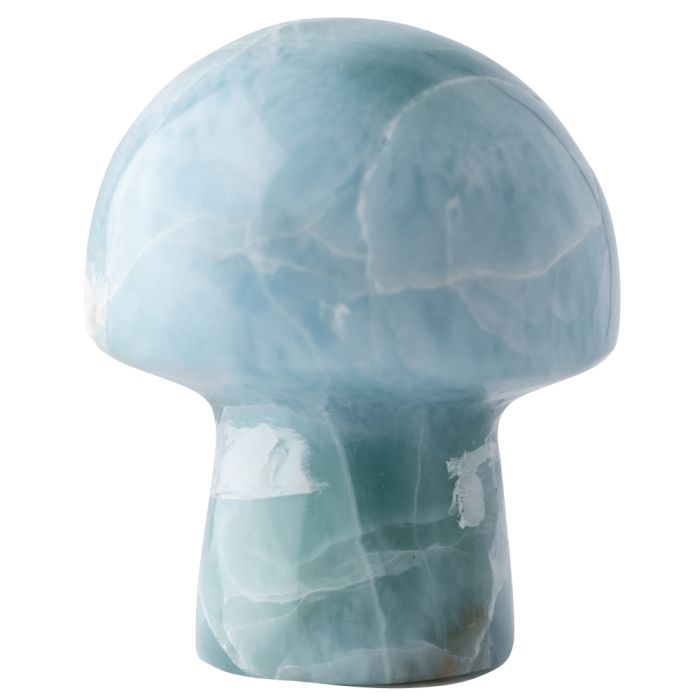 Larimar Mushroom 3.5 - 6g (1pc) NETT