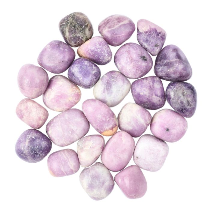 Lepidolite Deluxe Tumblestone Refill (25pcs) NETT