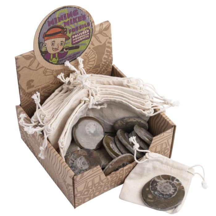 Mining Mike's Morocco Polished Ammonite Retail Box (20 Piece) NETT