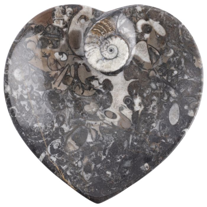 4.5" Ammonite Heart Dish (1pc) NETT