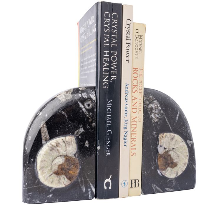 Fossil Bookends Goniatite (Morocco) (1 Pair) NETT