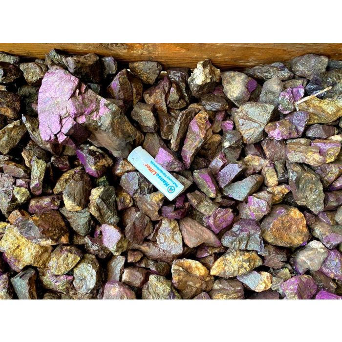 Rough Purpurite 3-5cm, Namibia (1kg) NETT