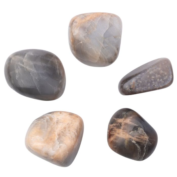 Moonstone Black Medium Tumblestone 20-30mm, India (100g) NETT